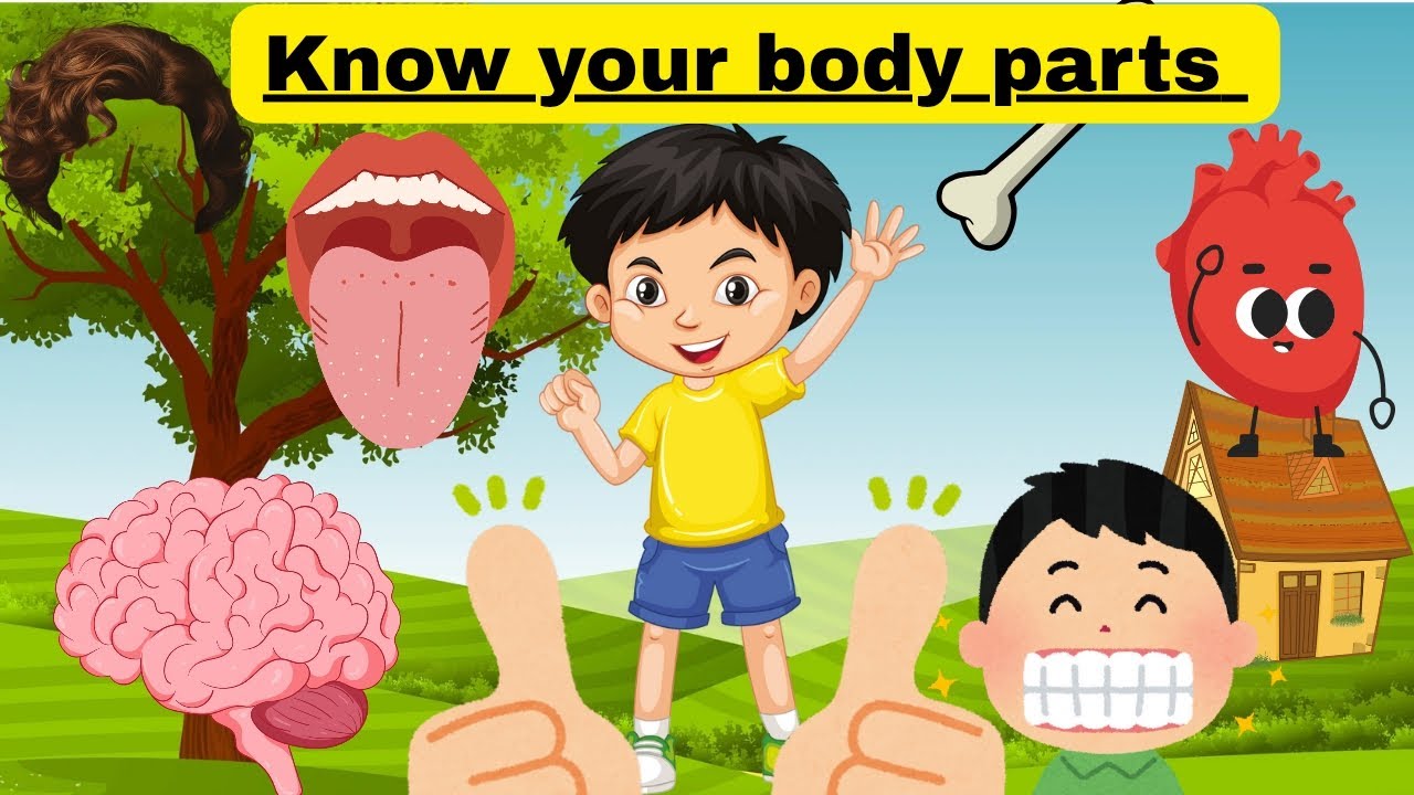 Learn Body Parts for Kids | Head, Shoulders, Knees & Toes | Body Parts Name for Children