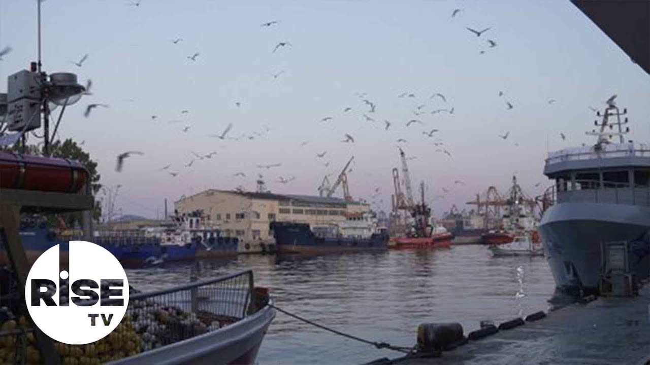 Όταν η πόλη κοιμάται, η Ιχθυόσκαλα ξυπνάει