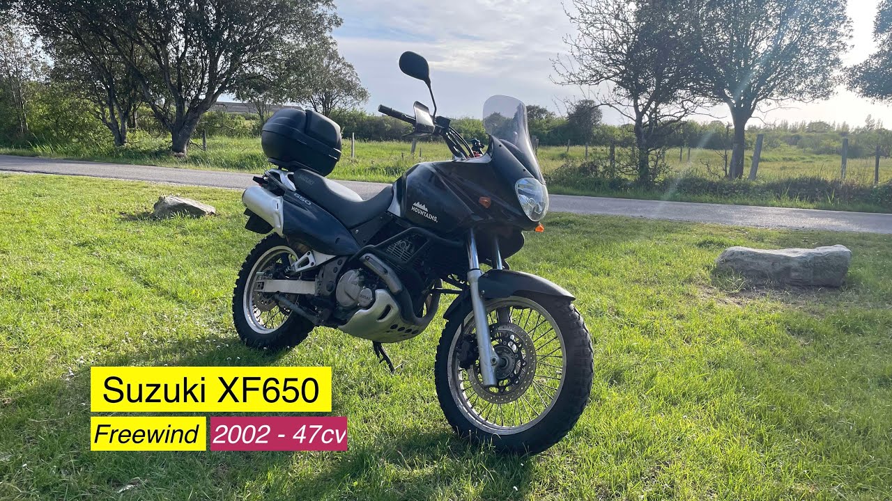 Suzuki Freewind XF650 2002