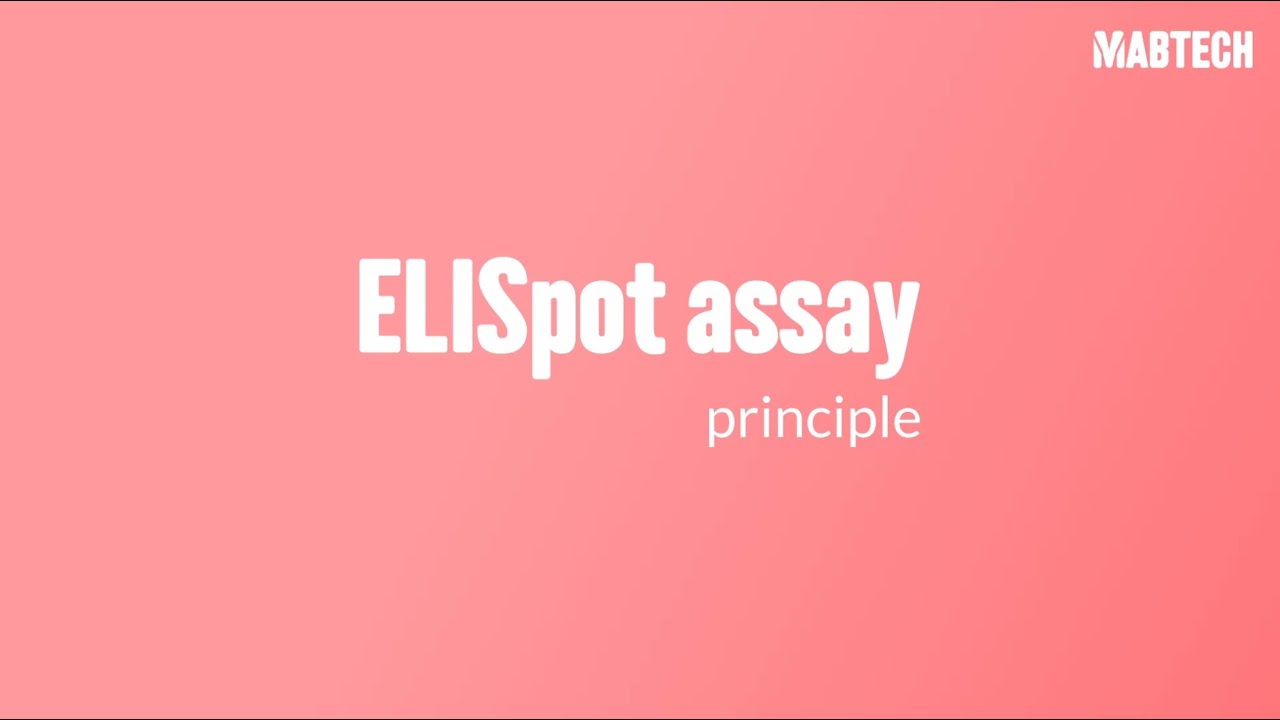 ELISpot assay principle