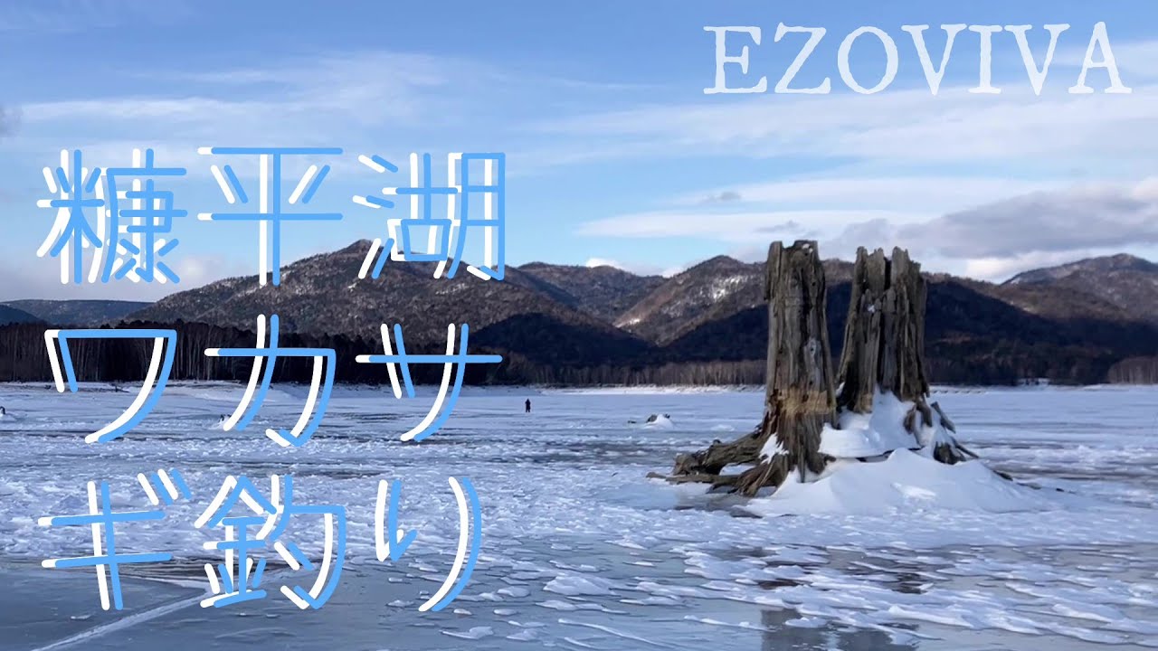 【ワカサギ釣り】2026年1月17日、厳寒の糠平湖でワカサギ釣り
