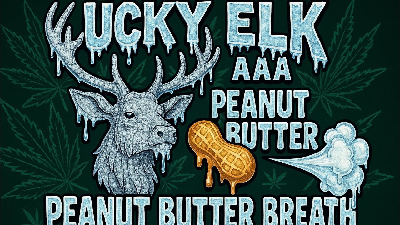 This AAA Top Shelf Lucky Elk Peanut Butter Breath Thca Flower is 🔥🔥🔥