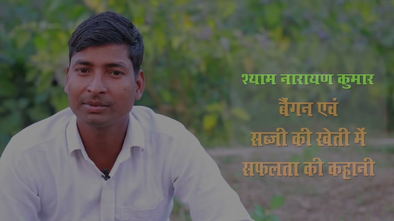 बैंगन एवं सब्जी की खेती ll उन्नत तकनीक से अधिक उत्पादन ll