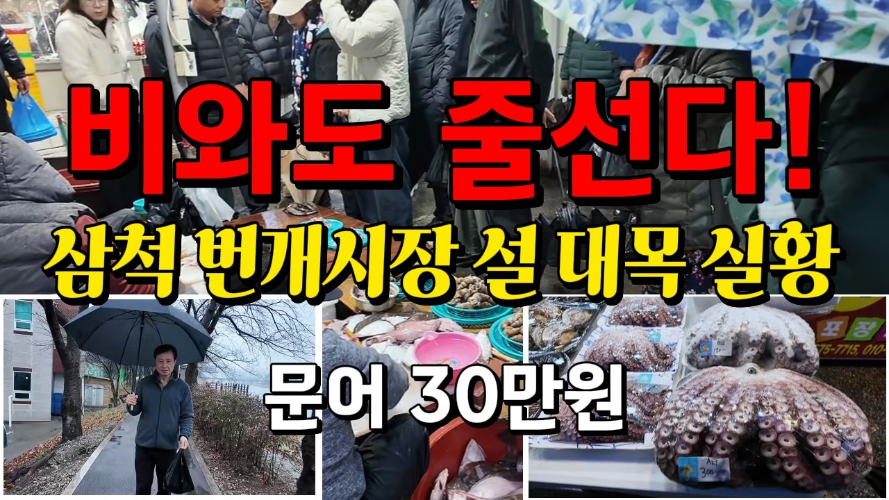 설날 전날 비 오는 삼척 번개시장! 줄 서서 기다리는 가자미 회와 문어 시세 공개 (2026)