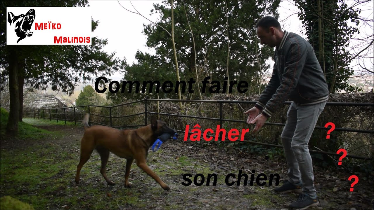 Tuto : Apprendre le 