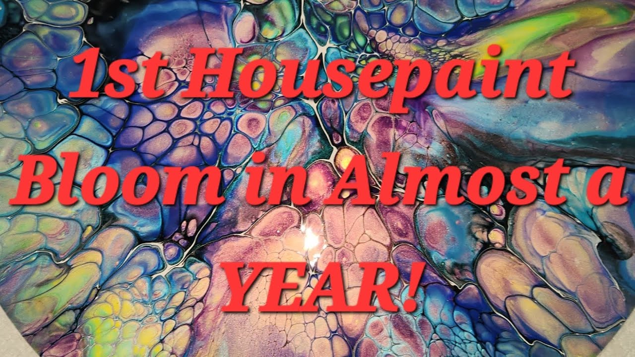 It's been nearly a YEAR since I bloomed with housepaint! See what happens! #fluidart #bloomtechnique