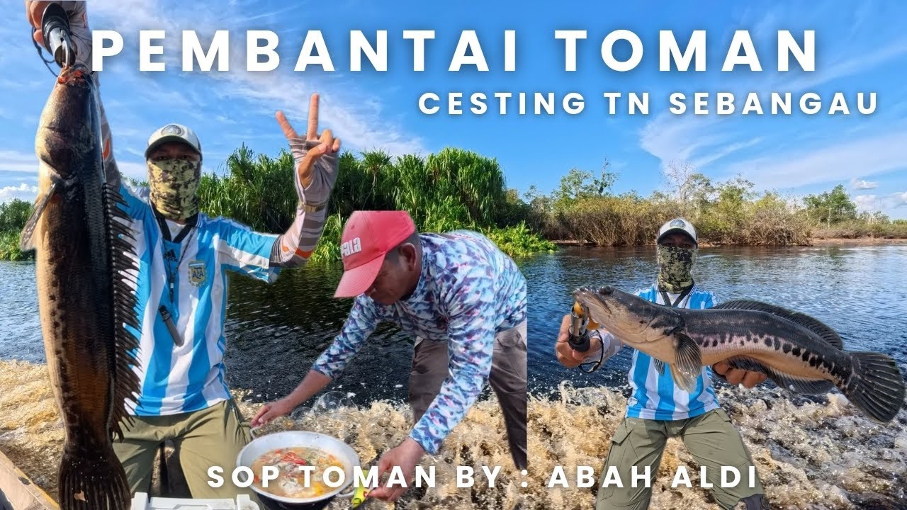 MUDAHNYA CESTING TOMAN DI SINI !!! SEBANGAU PALANGKA RAYA