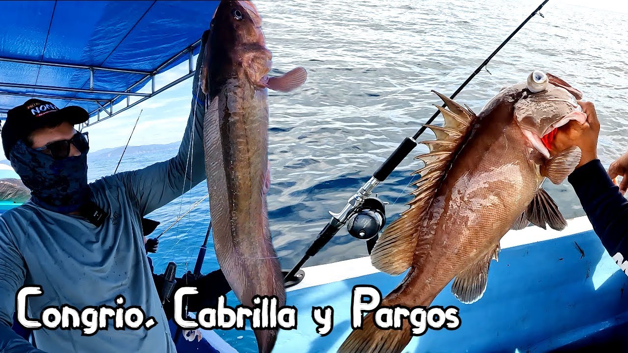 Pesca de Congrio, Pargos y Cabrilla Costa Rica