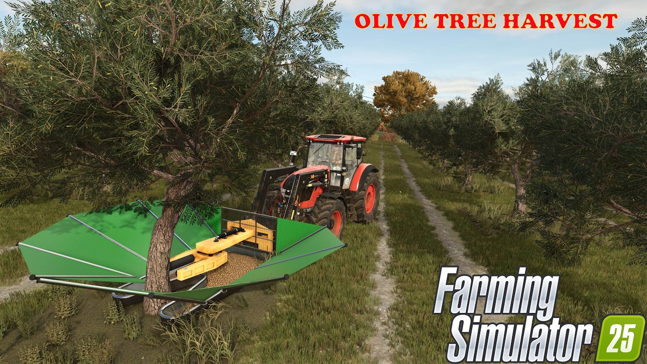Chambergo Ep 63  FARM SIM 25   How did our OLIVE HARVEST go