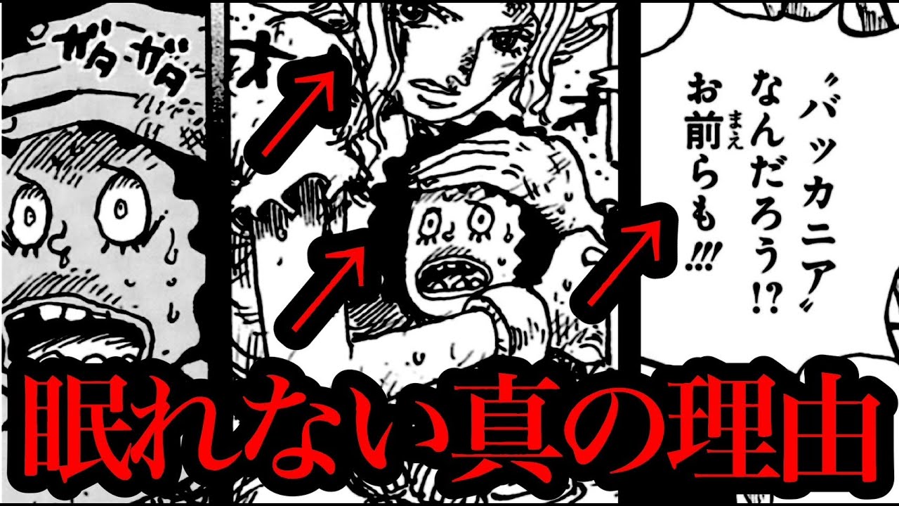 ※黒ひげの正体は●●●●●です。黒ひげの全ての謎が解決しました。眠れない理由・2つの悪魔の実・海賊旗の3つのドクロ【ワンピースネタバレ】【ワンピース考察】【ワンピース最新話 1160話】