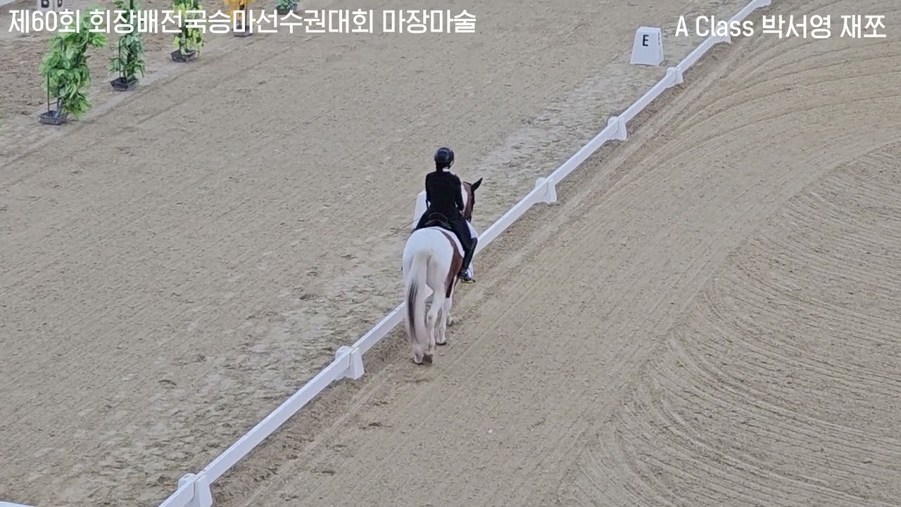 제60회 회장배전국선수권대회 마장마술 스티븐승마클럽