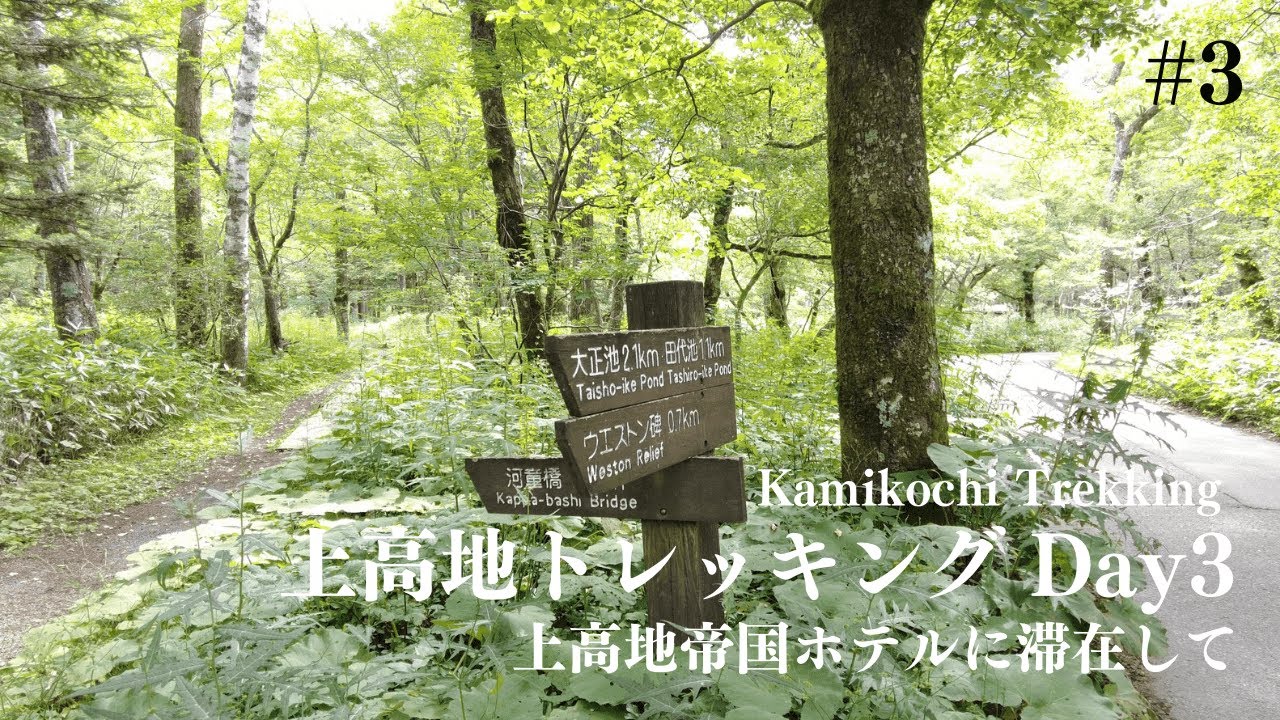 【上高地帝国ホテルのご紹介と田代湿原】ホテル予約の方法や滞在の感想もお話しします。2023.8.9