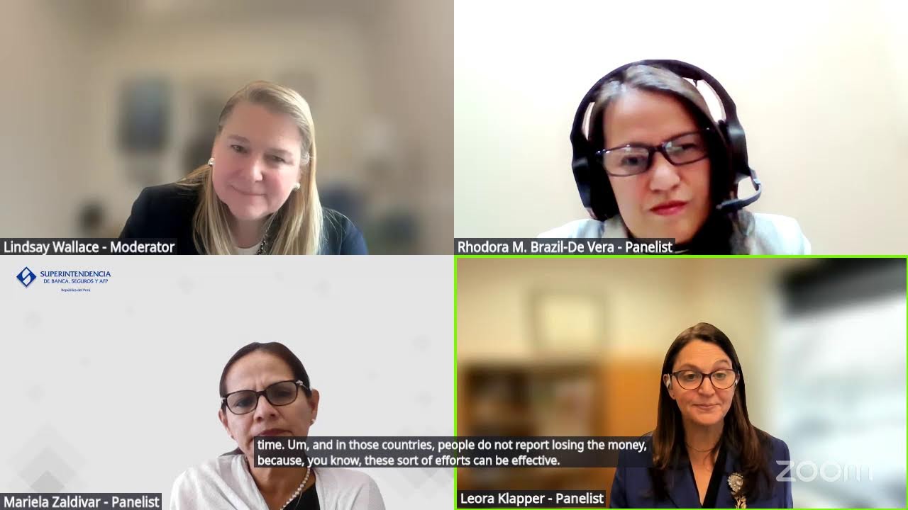 Virtual Executive Panel: The Nexus of Financial Inclusion, Resilience, and Supervision