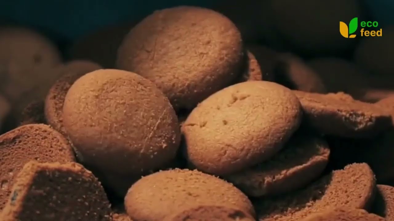 Ecofeed process