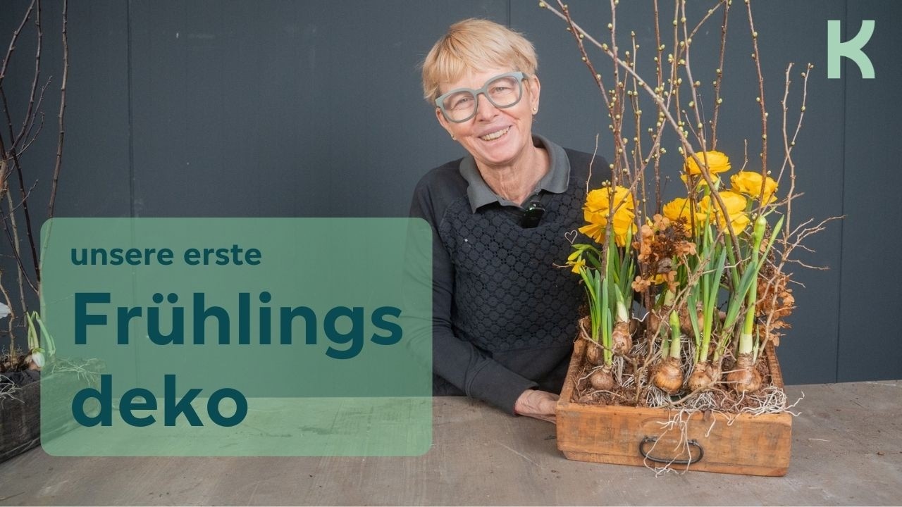 Frühjahrsdeko zum Jahresstart – natürliche Gestaltung in der Holzkiste