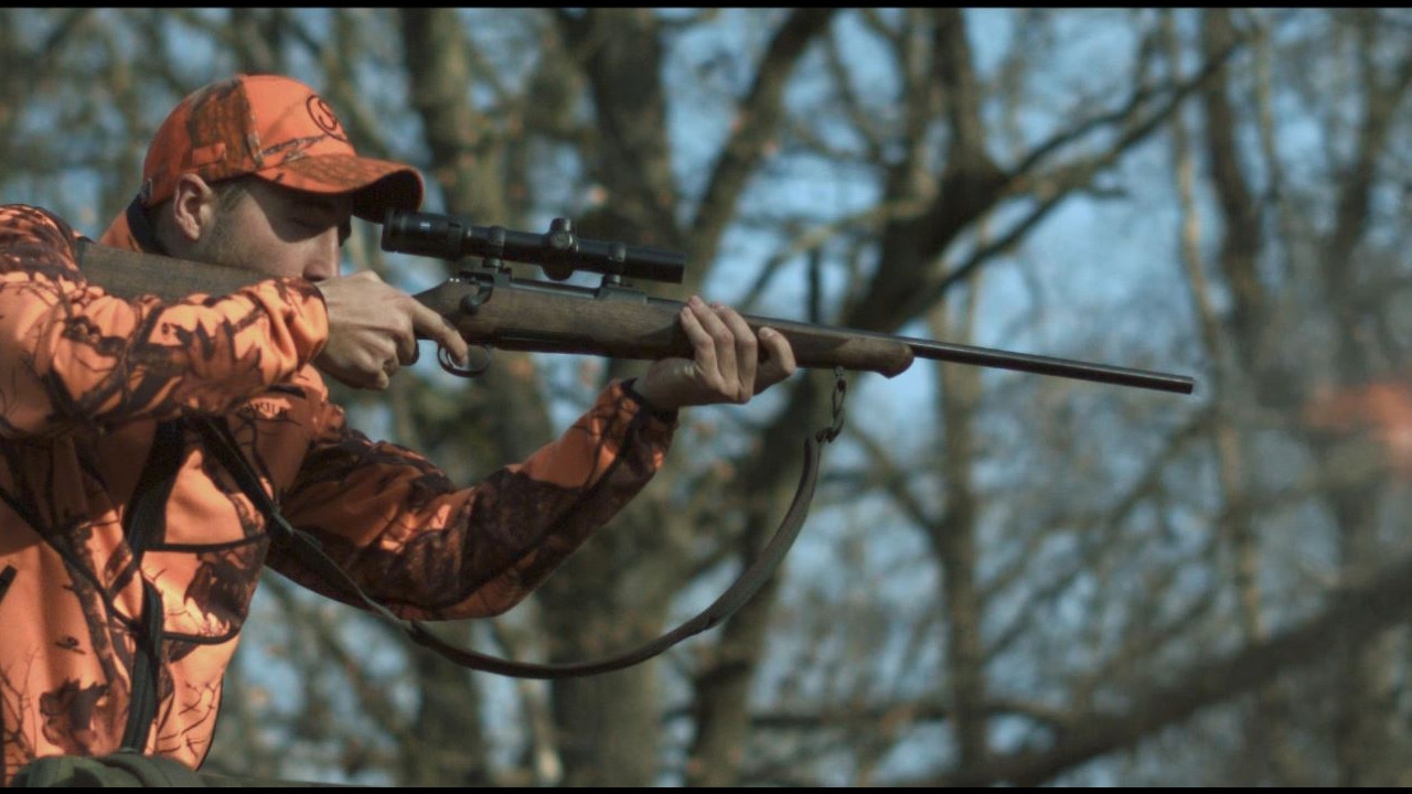 Sauer 100 - Chasse du sanglier en battue