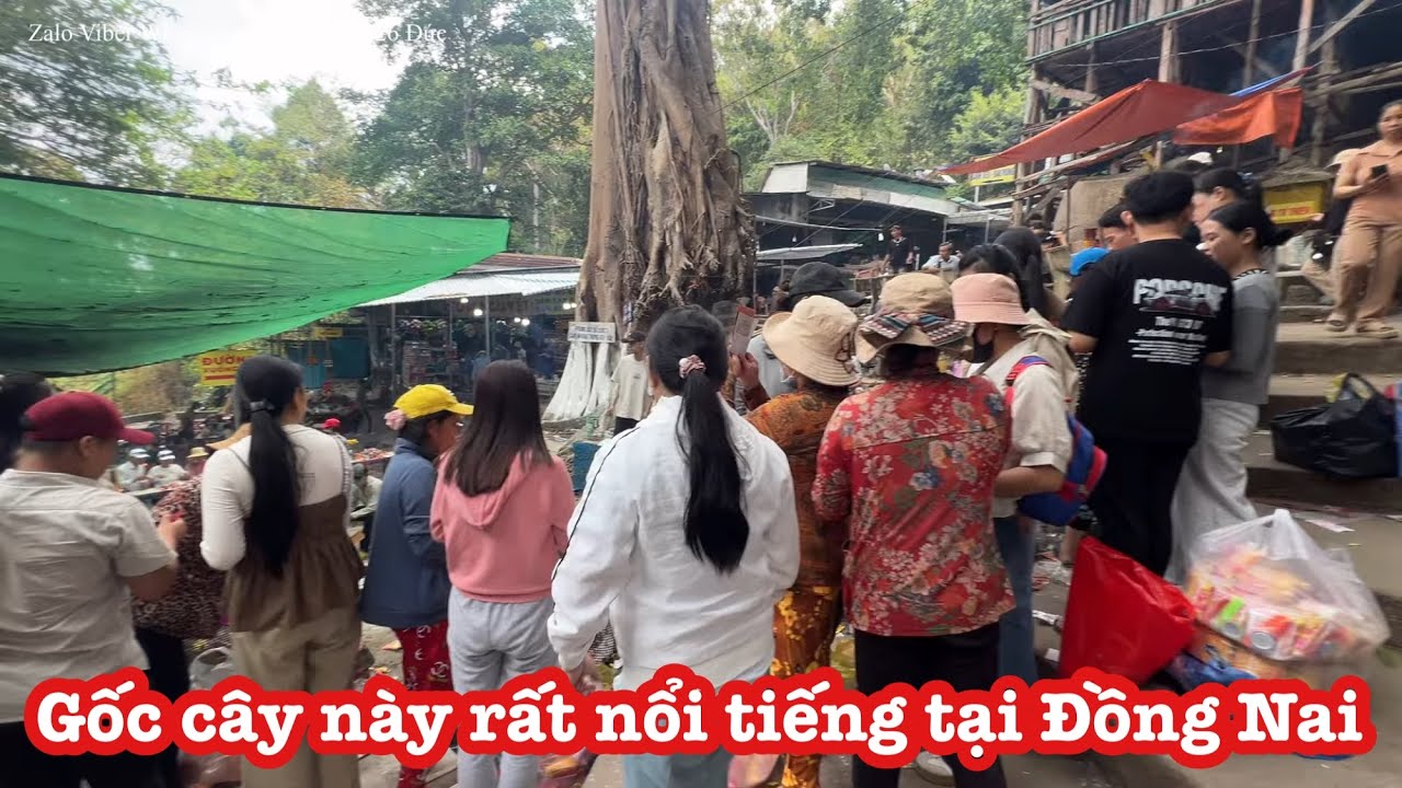 Hàng ngàn người đổ xô về địa danh rất đặc biệt tại Đồng Nai..!