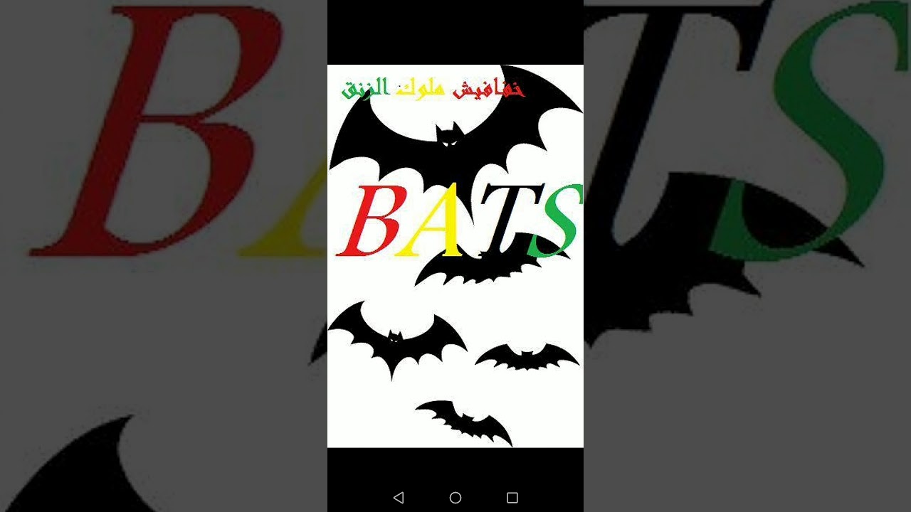 ايمن الربع