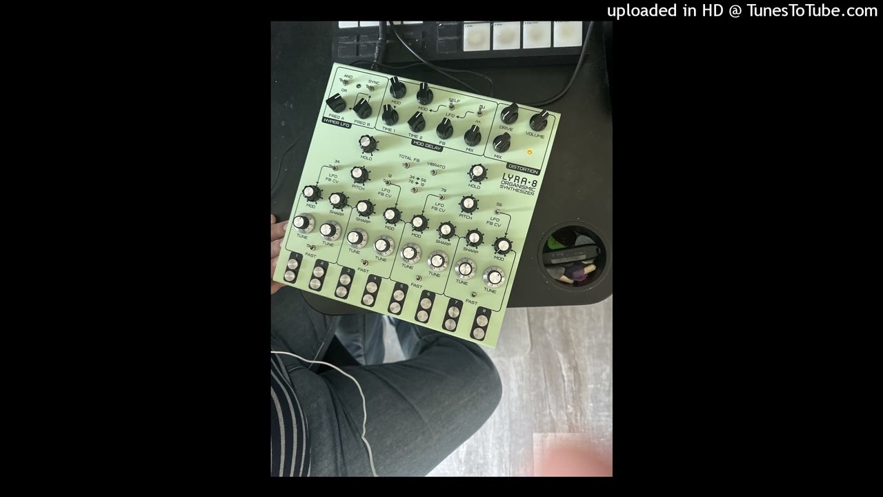 Erstkontakt (first contact with Lyra8)