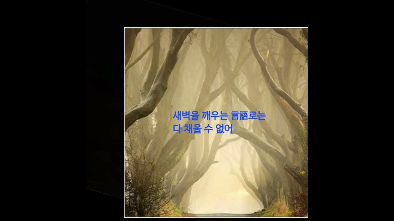 당신을 위한 기도