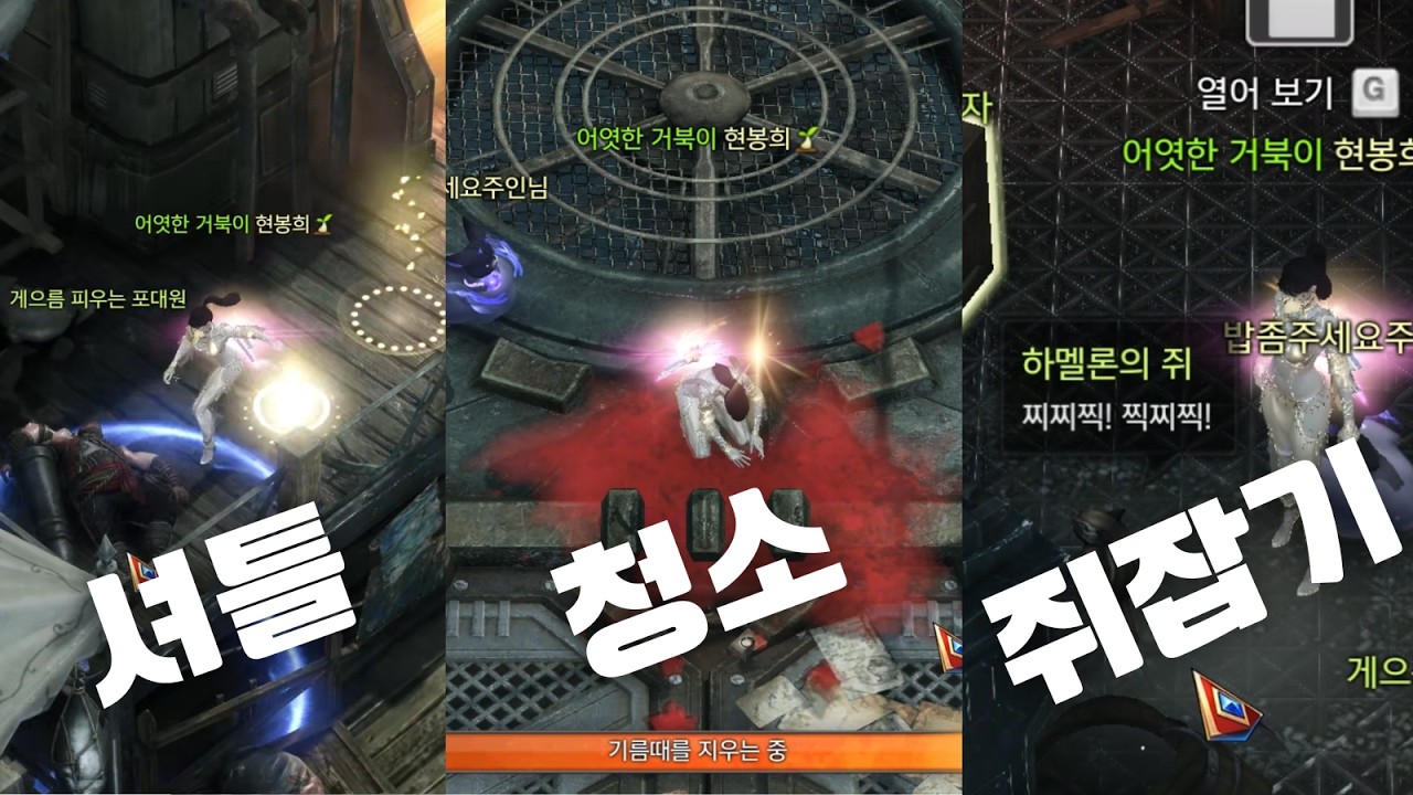 아크라시아 투어 패키지 실체 (로아 내실)