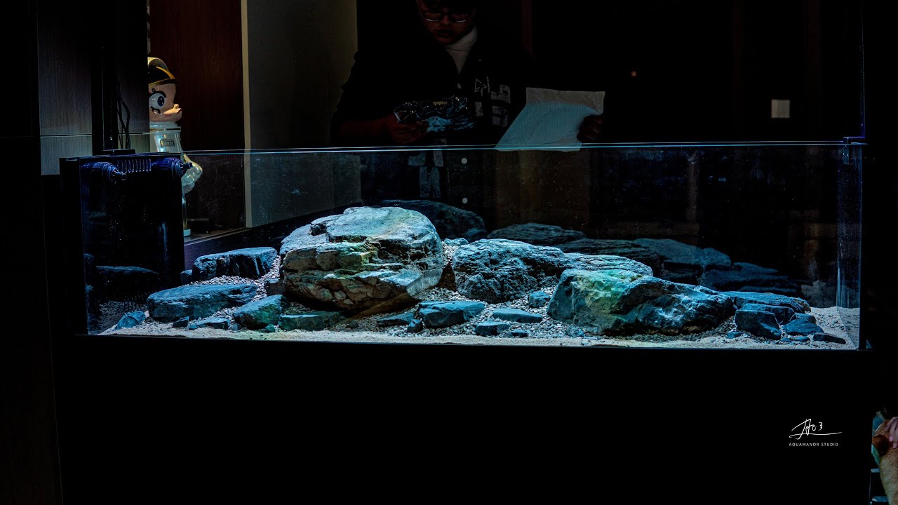 上门开缸一个月回访！上门造景 150溪流缸 & 120树桩水草缸