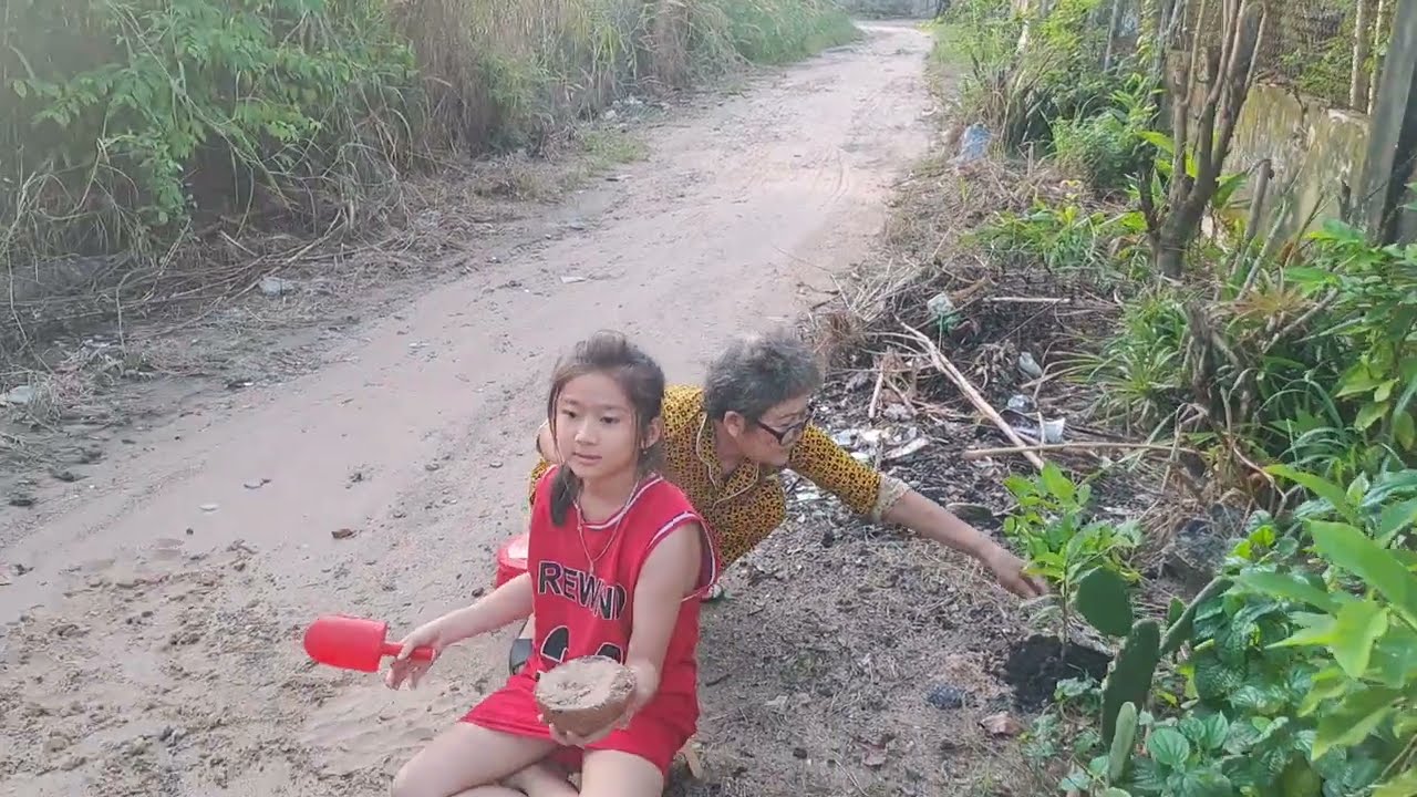 458# Chín Trầu Lam Sơn.Hai bà cháu chới cát