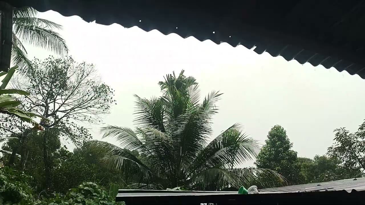 1 Hour Soothing Rain Sounds – Deep Sleep in 5 Minutes Guaranteed