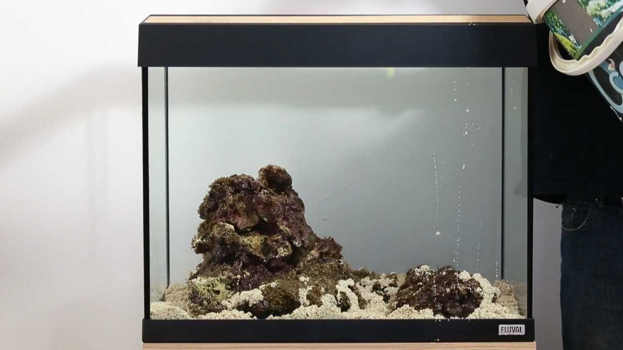 Converting to marine with Fluval Sea