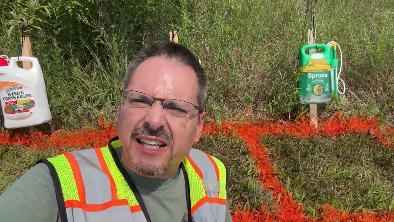 Real World Test of Weed Killer Sprays