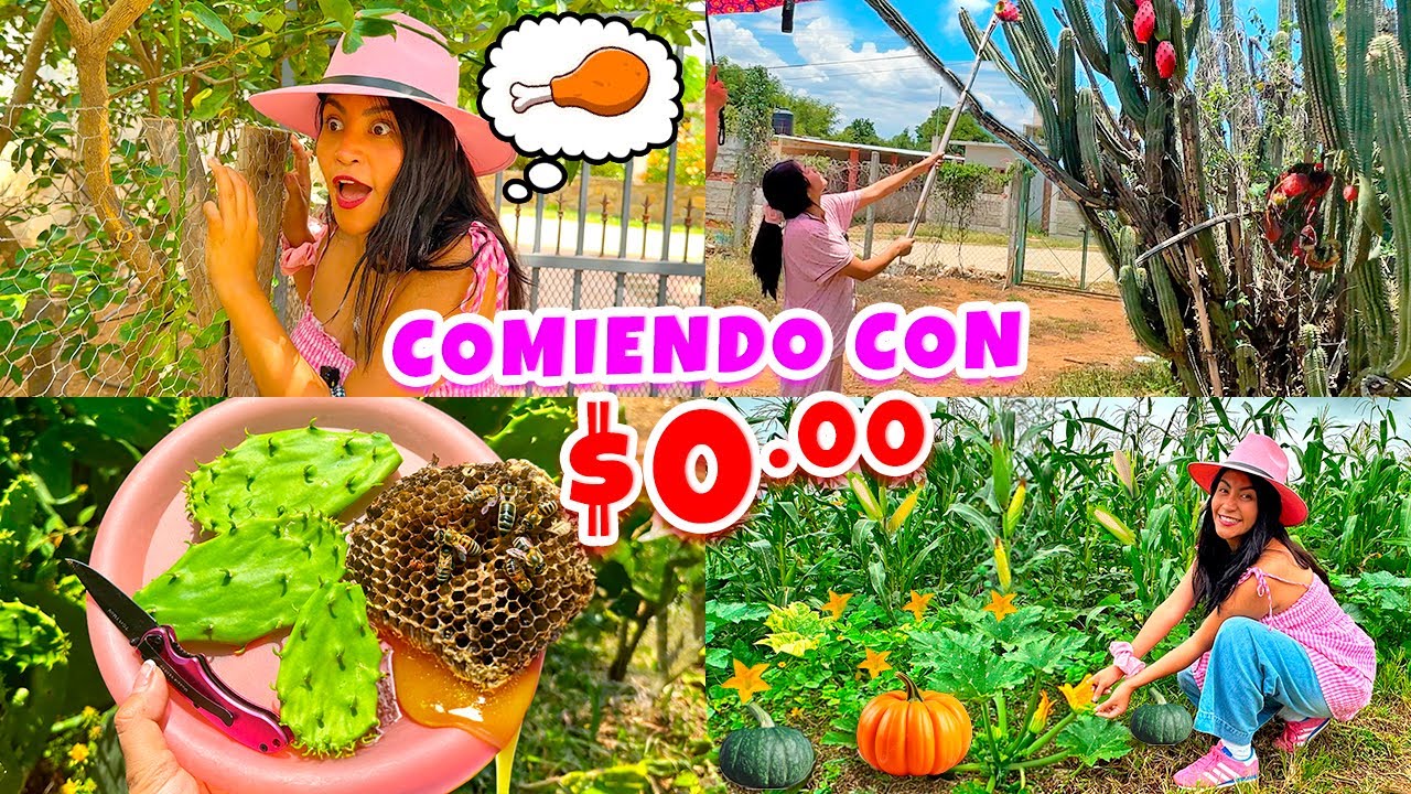 🌵24 HORAS Comiendo SIN DINERO!😱¡NI UN PESO! 🍳¡Completamente GRATIS 🐛 ¿Qué comí en el PUEBLO?