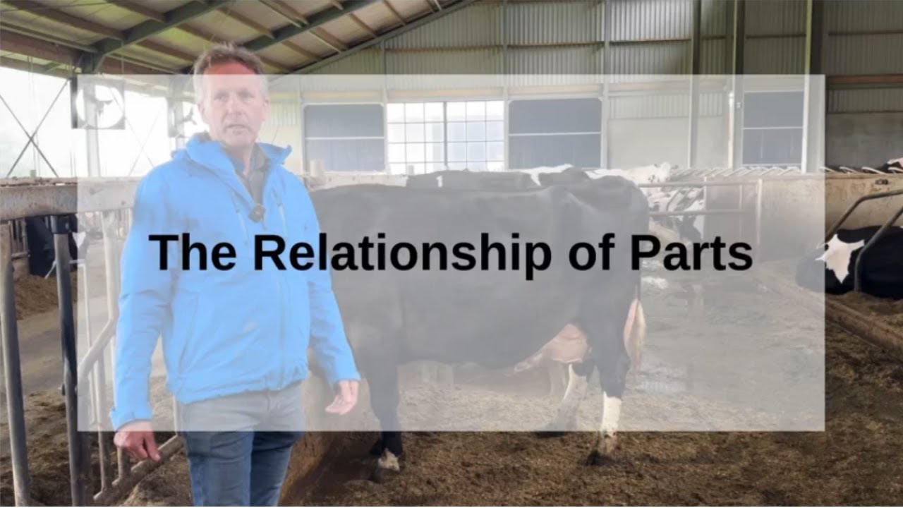 Relationship of Parts - English