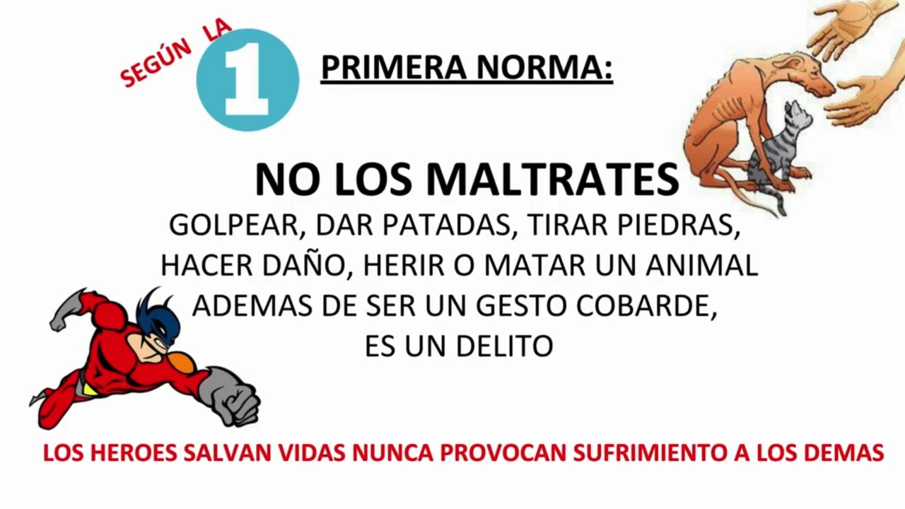 MATERIAL DOCENTE PARA PRIMARIA