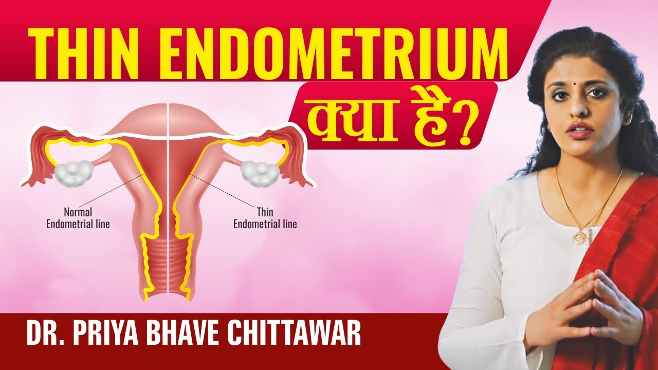 Thin Endometrium Can get Pregnant? Thin Endometrium Symptoms, Causes and Treatment
