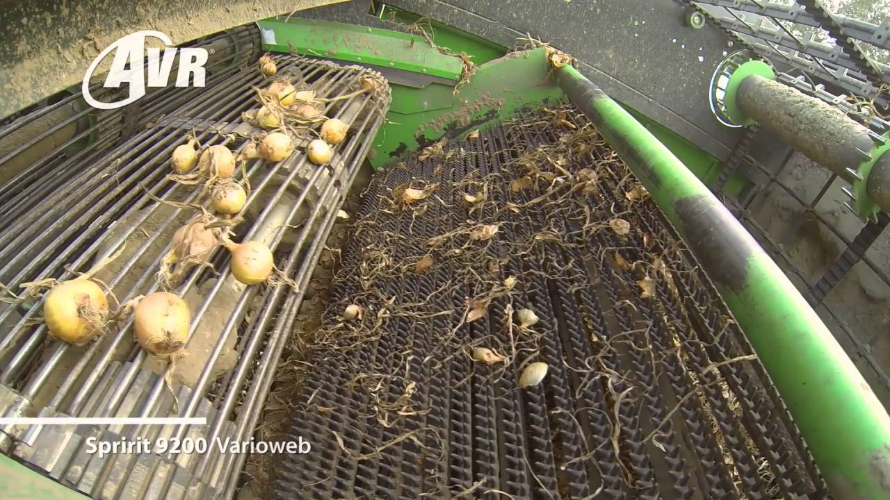Spirit 9200 VW harvesting onions