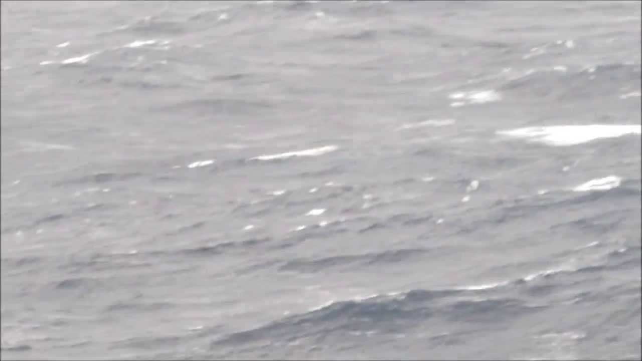 Captain Wells reports from the bridge of Cunard's Queen Elizabeth in the North Atlantic