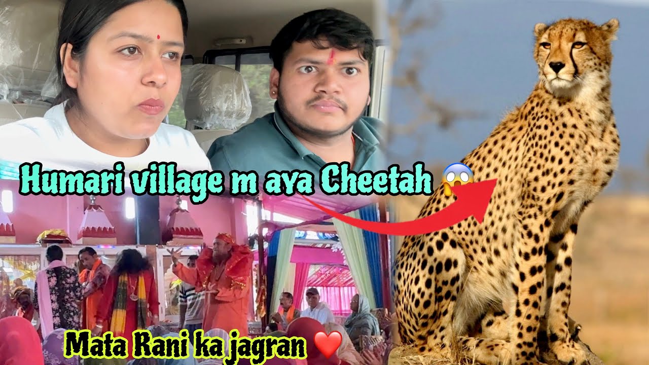 Humari village m aya Cheetah 😱baut mushkil se bche. ❤️Mata Rani ka jagran navratro ki tyari shuru ❤️