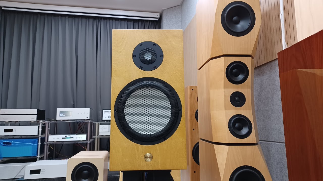 Custom  Speaker  Accuton C25-6-158, C220-6-221,  DIVA product  A 모델
