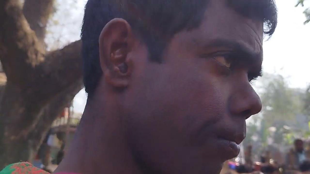 বামনদি হাটের সুন্দর সুন্দর ছোট মহিষের বাচ্চার দাম দেখাব দেখুন।