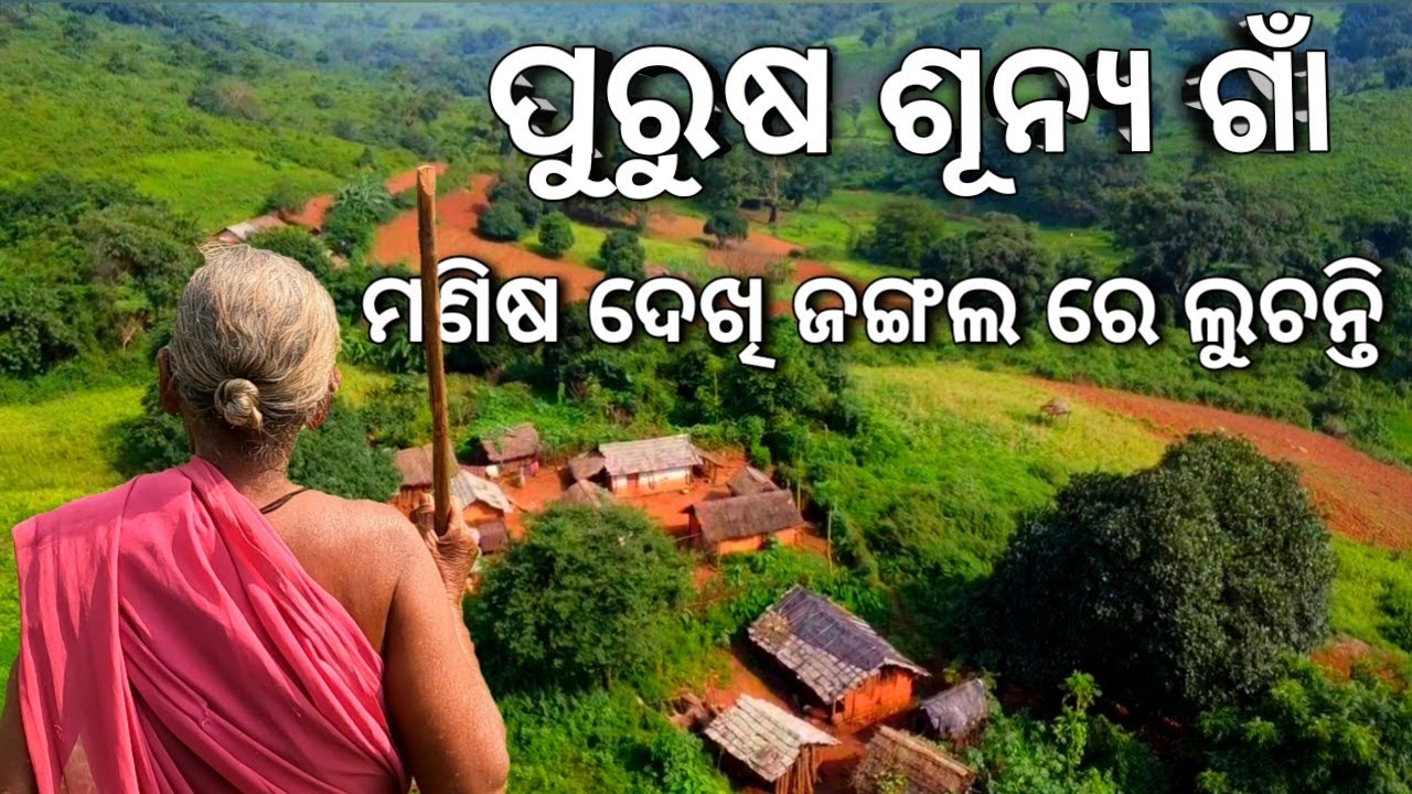 ପୁରୁଷ ଶୂନ୍ୟ ଗାଁ ❗ ମଣିଷ ଦେଖି ଜଙ୍ଗଲ ରେ ଲୁଚନ୍ତି,❓ ହାଣ୍ଡିଭଙ୍ଗା //Tribal life Handibhanga @MahesRock
