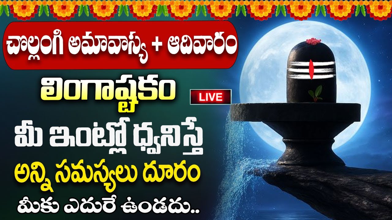 Live : చొల్లంగి అమావాస్య + ఆదివారం 