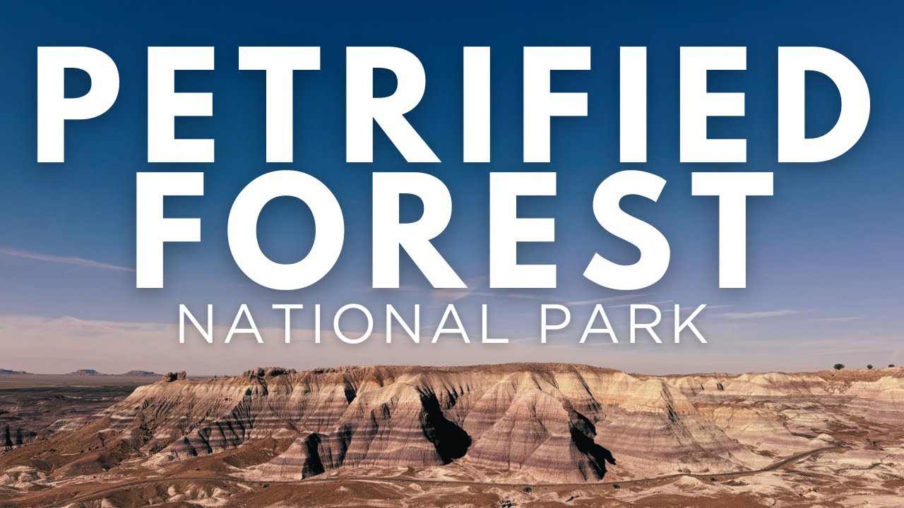 Exploring Petrified Forest National Park in One Day (Arizona Travel Vlog)