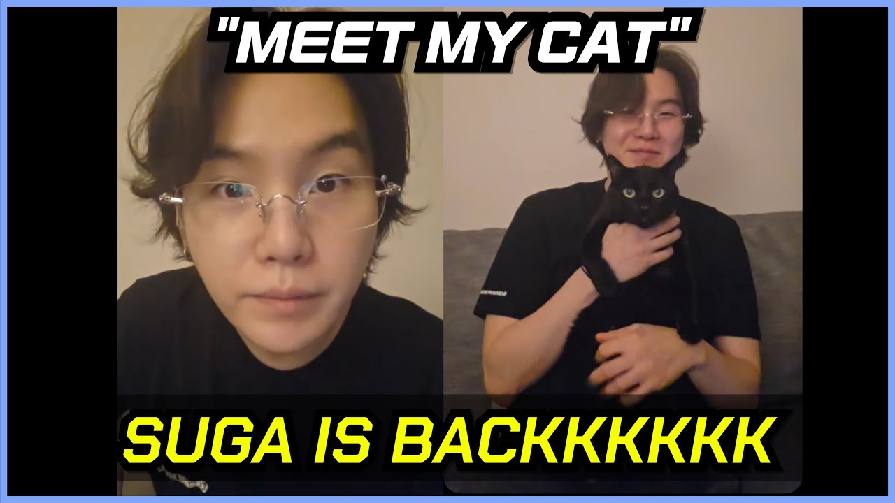 SUGA Introduces His Cat Tang in a Calm Weverse Live (Full Translation & Reaction)