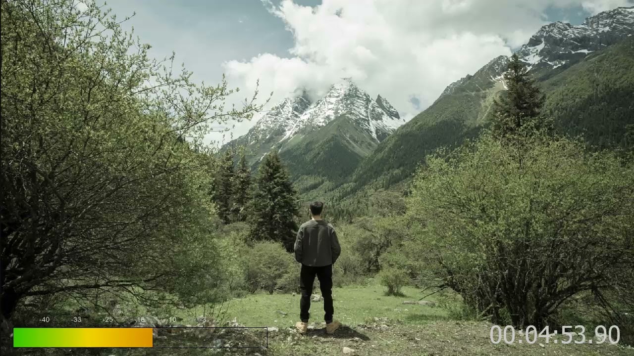 vivian - Into The Wild (AT Extended Mix)