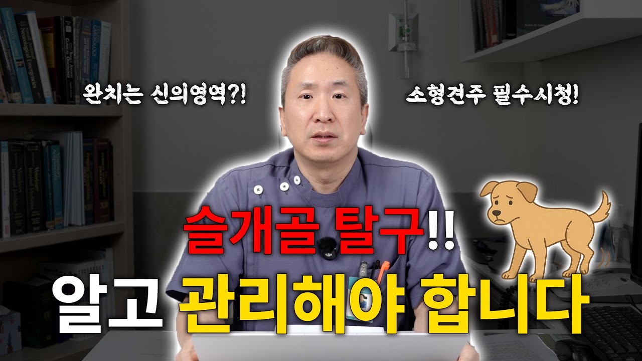 강아지 슬관절질환 1탄-슬개골 탈구, 완치는 신의 영역?!