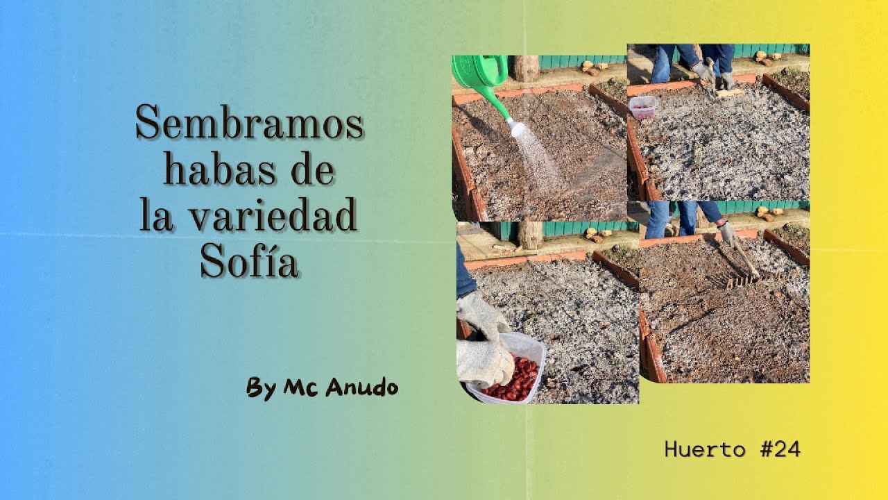 Abonado Perfecto para Habas: Compost casero, ceniza y NPK ecológico