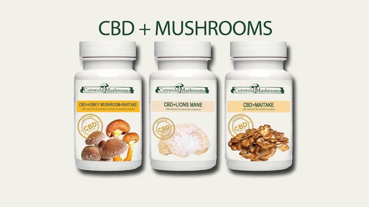 CBD AND MUSHROOMS