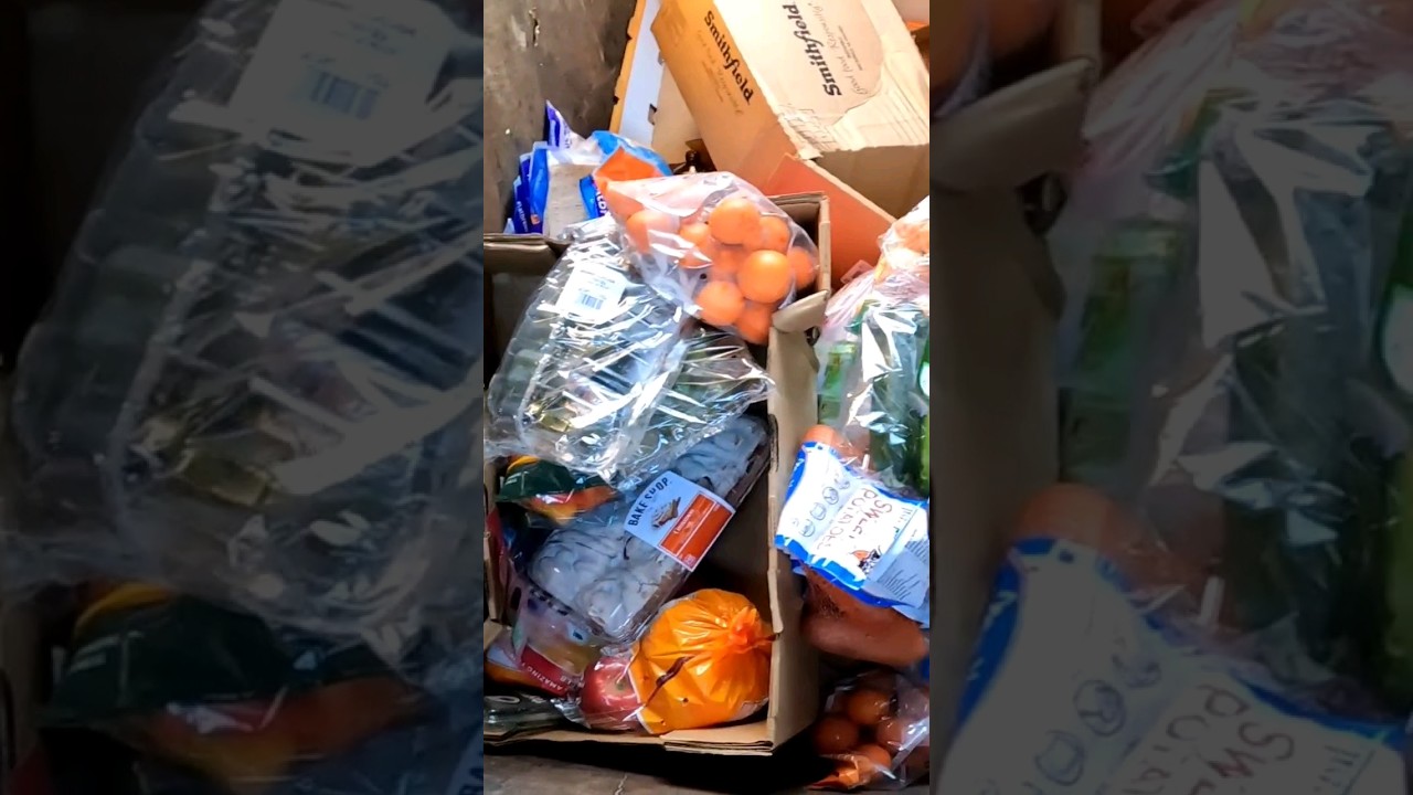 Dumpster diving aldi! #dumpsterdiving #viral #crazy #free #donate #omg #shorts