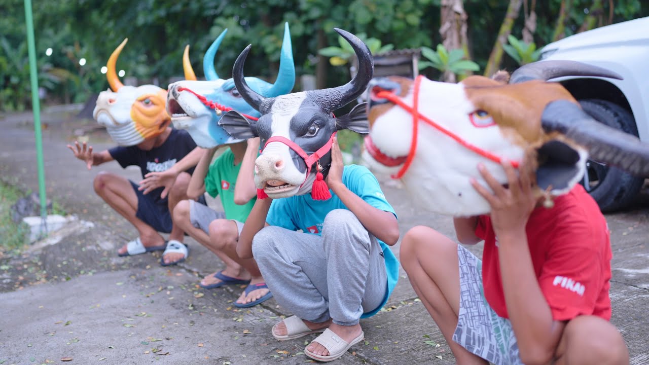 film pendek | ANAK SULTAN BAGI2 BANTENGAN SAPI MBEROT GRATIS PURA2 JUALAN POP MIE