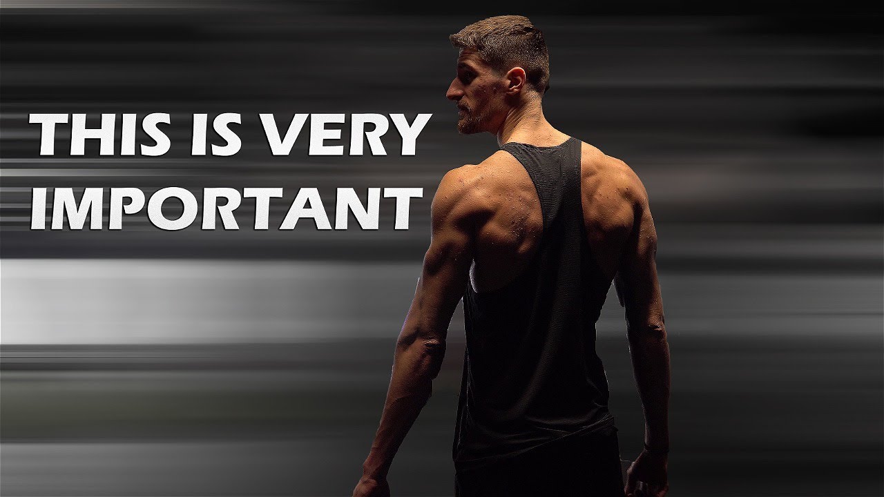 Why You Must Bulk